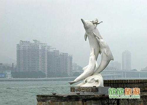 厦门鼓浪屿钢琴码头将重新设立白海豚雕塑, 你怎么看（厦门不锈钢制品加工工艺）-图2